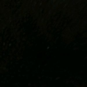 Meet your Posher, Lique